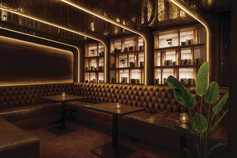 ZAURUS/北新地画像81547