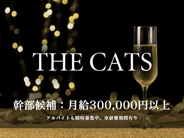 THE CATS/下通画像44907