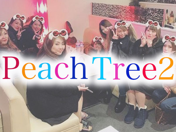 Peach Tree2 熊本大津店/大津町画像49797