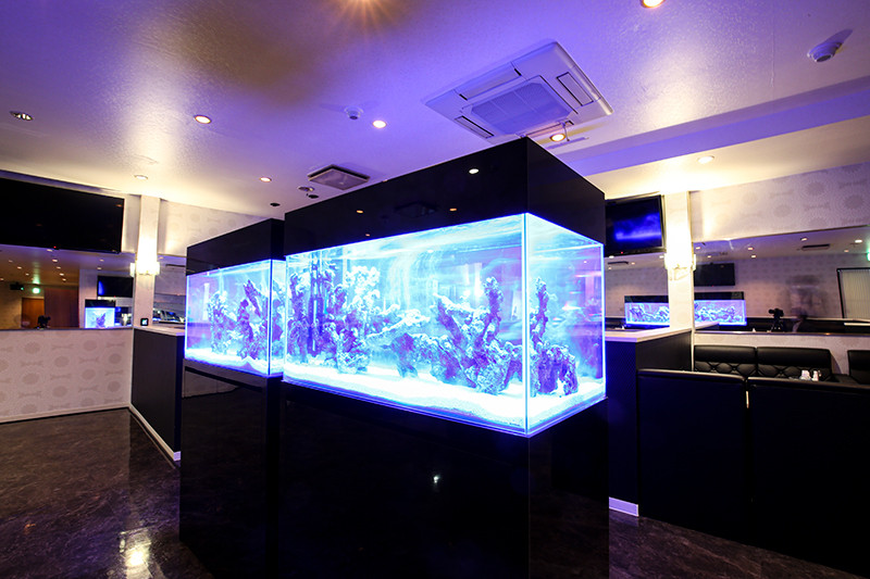 club Salvatore/十三画像58001