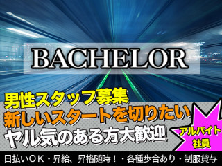 BACHELOR/上野画像65643